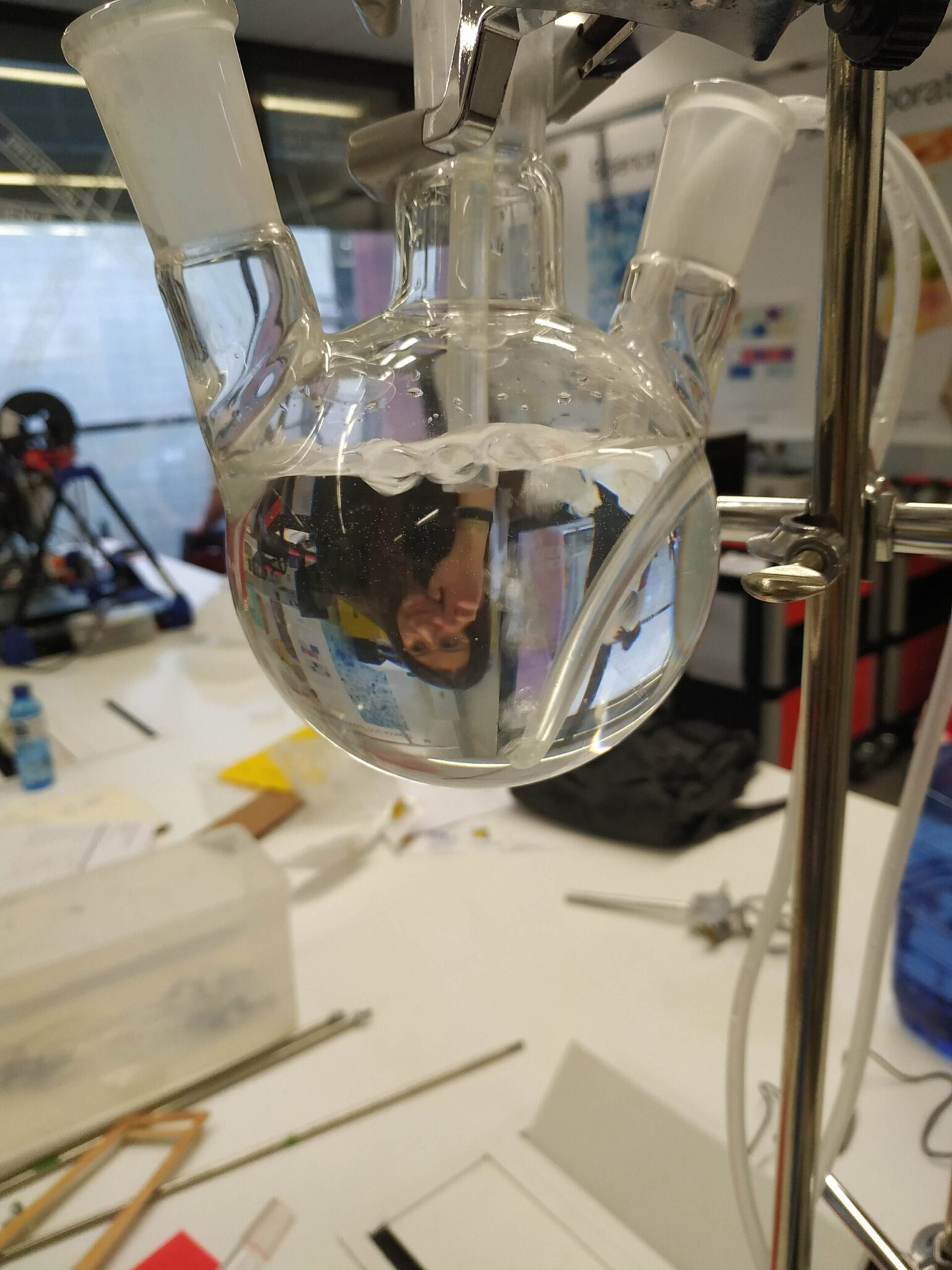 biotranslab